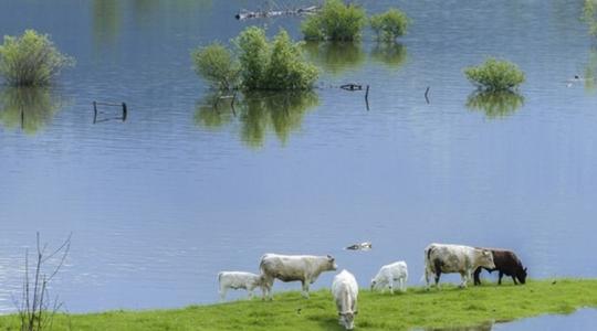 Az El Niño egyre kiszámíthatóbb – de ez nem jó hír a mezőgazdaságnak