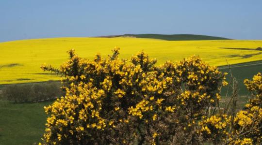 Szerinted a magyar gazdákat mi motiválja a természet védelmére?