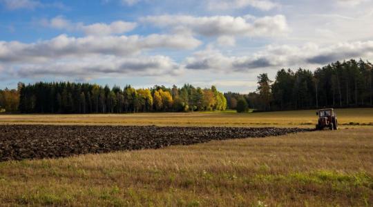 Tél a naptárban, ősz az ablakon túl: marad a ködös, enyhe idő +VIDEÓ Tél a naptárban, ősz az ablakon túl: marad a ködös, enyhe idő +VIDEÓ