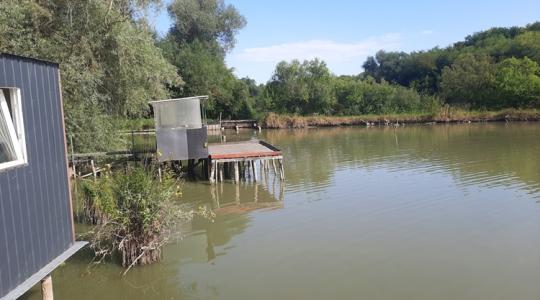 Tilalom: új szabályok a hazai vizeken, így védik ezt a fajt