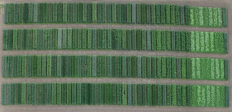 ökológiai gazdálkodás