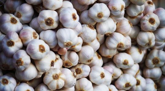 Spanyolország lejtmenetben, Kína uralkodik: átrendeződés a fokhagyma világpiacán