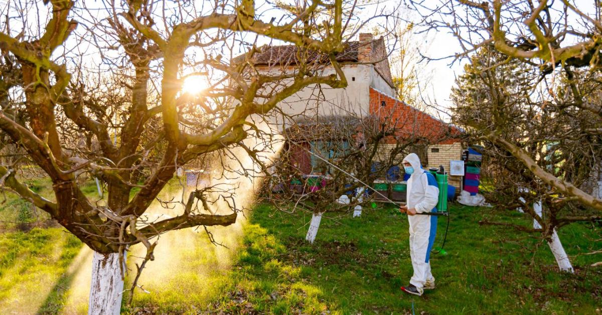 Lemosó permetezés decemberben – mivel lehet még biztonságos?