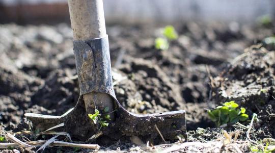 Konyhakert talajelőkészítése télre – a tavaszi indulás sikere most dől el
