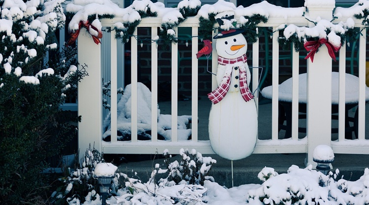 teli udvar teli udvar