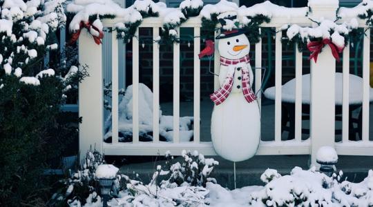 Fagy előtt 48 órával: a kertész gyors ellenőrzőlistája Fagy előtt 48 órával: a kertész gyors ellenőrzőlistája