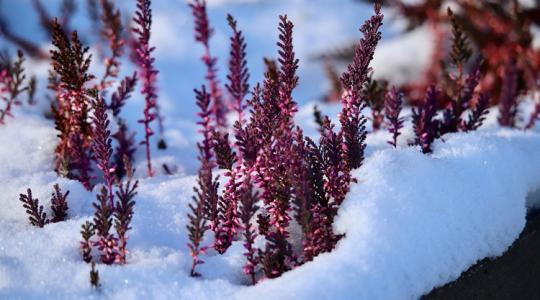 Mit NE csinálj, ha hirtelen leesik a hó? Mit NE csinálj, ha hirtelen leesik a hó?