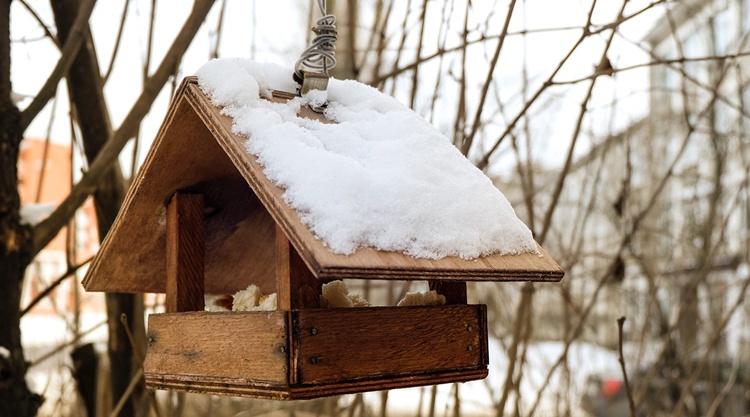 madareteto madareteto