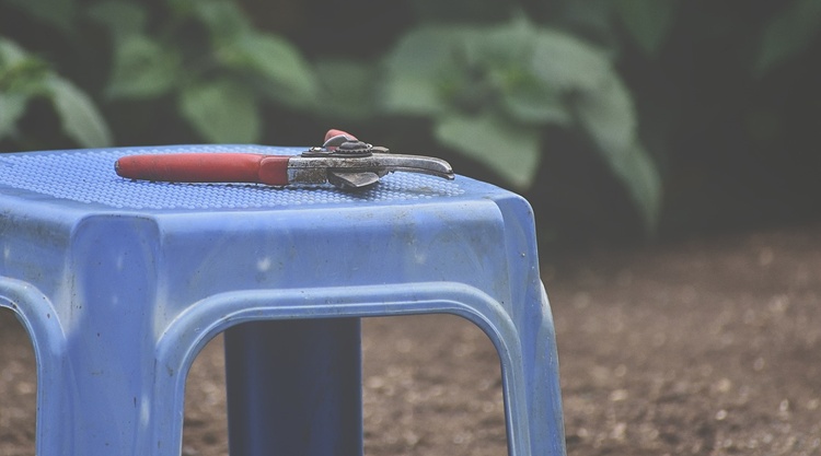 metszoollo metszoollo