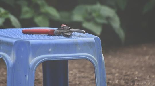 Mi az, amit decemberben már TILOS visszavágni? Mi az, amit decemberben már TILOS visszavágni?