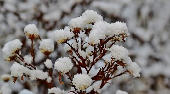 A hó alatti károk 5 jele – mit tehetsz most? A hó alatti károk 5 jele – mit tehetsz most?