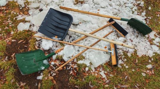 Ezeket ne hagyd a kertben télre – kártevőmágnes mind Ezeket ne hagyd a kertben télre – kártevőmágnes mind