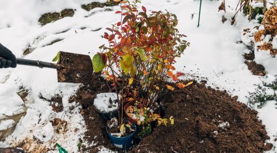 A kert 5 legjobb hőtartó anyaga – profi magyarázattal A kert 5 legjobb hőtartó anyaga – profi magyarázattal