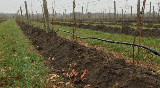 Mini dombok és takarások – a profik módszere Mini dombok és takarások – a profik módszere