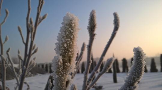 A decemberi fagy „csendes kárai” – és hogyan előzd meg