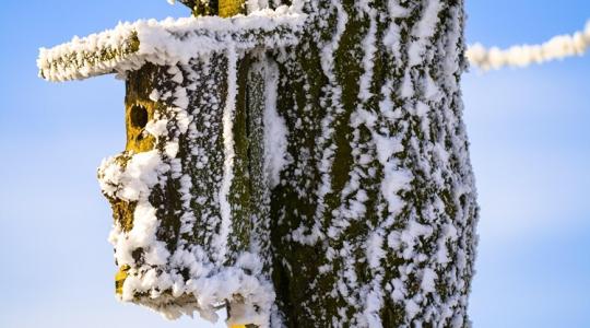 A téli etetők 10 leggyakoribb hibája – és javításuk