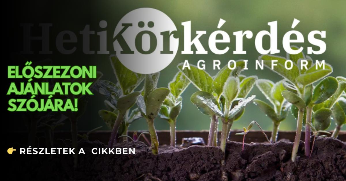 Előszezoni ajánlatok szójára – Heti Körkérdés