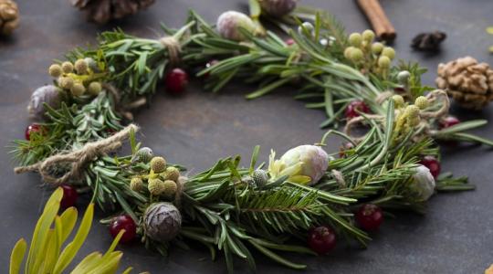 A rozmaringnak nem csak a tányéron van helye!