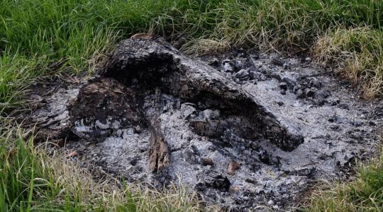 Hamu használata télen a kertben – hova TILOS szórni? Hamu használata télen a kertben – hova TILOS szórni?