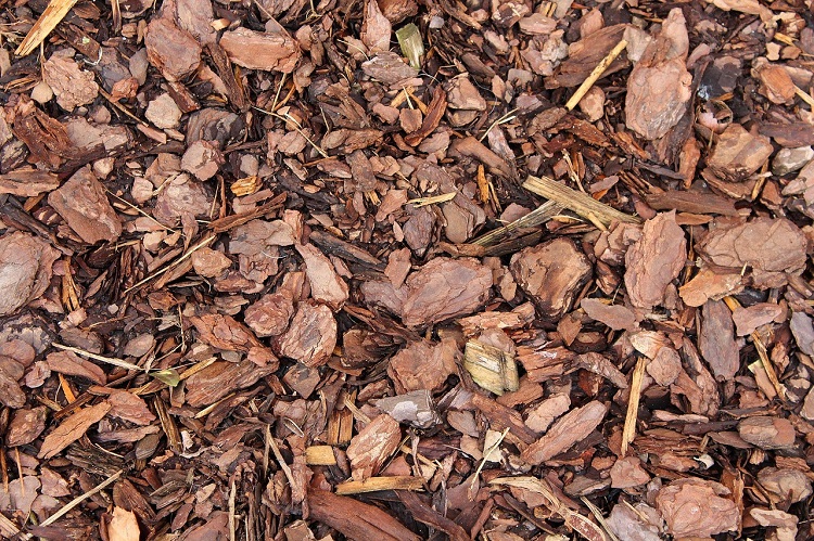 Talajtakarás télen