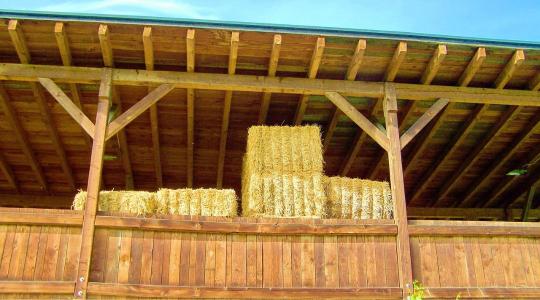 Szalma tárolása télen – miért veszélyes a rossz szellőzés? Szalma tárolása télen – miért veszélyes a rossz szellőzés?