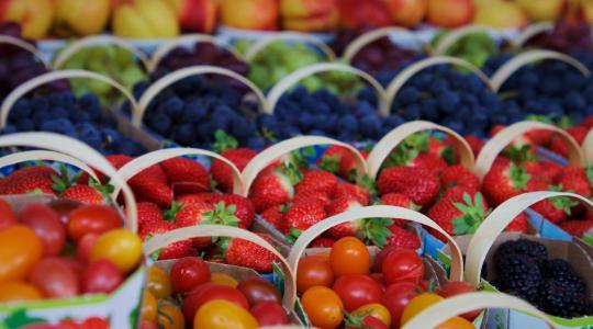 Munkaerőhiány, hatóanyag-kivonások és támogatási lehetőségek a zöldség-gyümölcs ágazatban