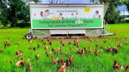 Mobil pajtával vészelni át a telet – így készítsük fel az állatokat és a terepet Mobil pajtával vészelni át a telet – így készítsük fel az állatokat és a terepet