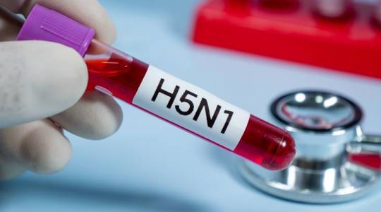 Madárinfluenza: a láz sem állítja meg?