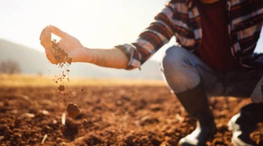 Ezért van bajban a mezőgazdaság!