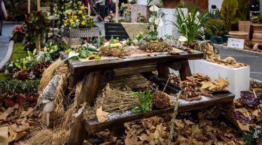 Díszkertészek figyelem: fejlesztési források és új támogatások érhetők el