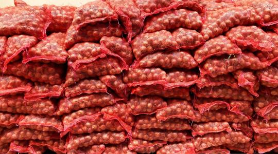 Tele vannak a raktárak, kevés a vevő: nehéz helyzetben a zöldségtermelők