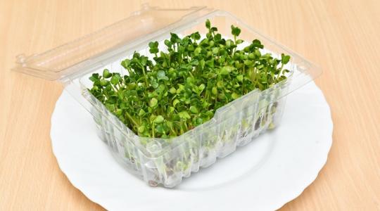 A legjobb téli „kamrakert” ötletek – csírák, mikrozöldek