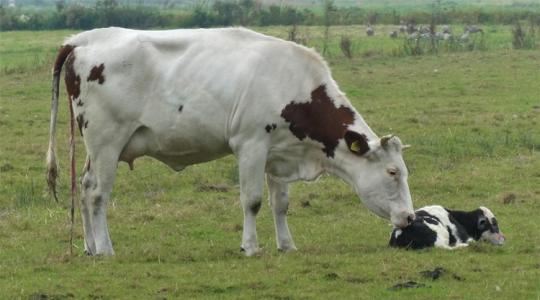 A téli ellési szezon 5 buktatója A téli ellési szezon 5 buktatója