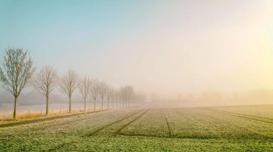 Időjárás: Messze még az igazi tél + VIDEÓ Időjárás: Messze még az igazi tél + VIDEÓ