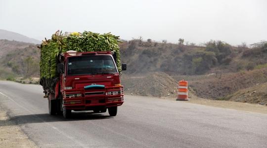 A magyarok luxusgyümölcse, amiért kígyóztak a sorok a szocializmusban A magyarok luxusgyümölcse, amiért kígyóztak a sorok a szocializmusban