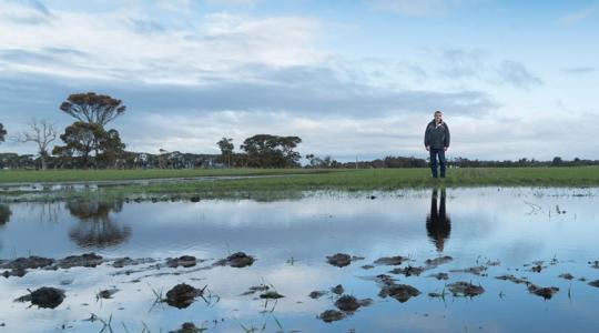 Vízfelesleg: a láthatatlan ellenség Vízfelesleg: a láthatatlan ellenség