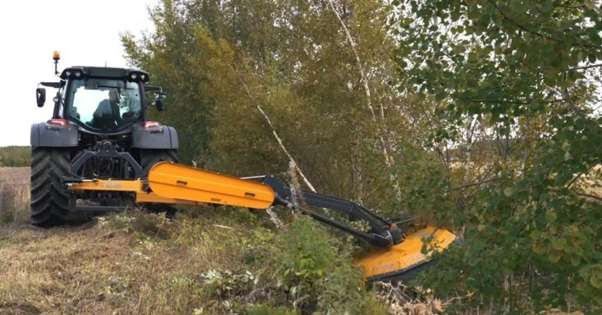 Profi zúzógépek az útszélektől az ültetvényekig – az AGROWOLF gépkínálata Profi zúzógépek az útszélektől az ültetvényekig – az AGROWOLF gépkínálata