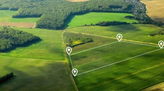 Kevesebb papírmunka, gyorsabb ügyintézés: itt az új rendelet Kevesebb papírmunka, gyorsabb ügyintézés: itt az új rendelet