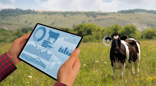 Folytatódik a MATE tudásmegosztó sorozata: fókuszban a precíziós állattenyésztés Folytatódik a MATE tudásmegosztó sorozata: fókuszban a precíziós állattenyésztés