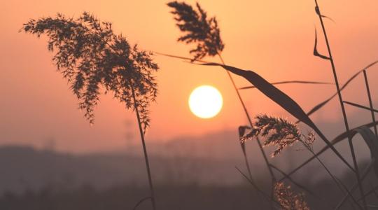 Elmaradt az őszi napsütés: ezt mérték a meteorológusok Elmaradt az őszi napsütés: ezt mérték a meteorológusok