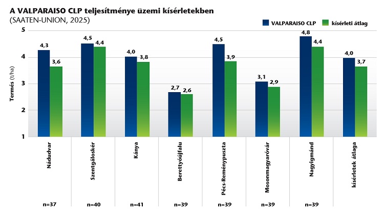 napraforgó napraforgó