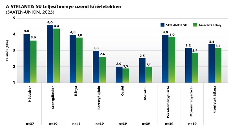 napraforgó napraforgó
