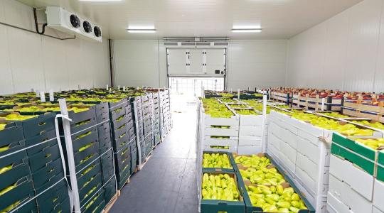 Tárolás okosan: milliókat spórolhat a termelő a jó technológiával