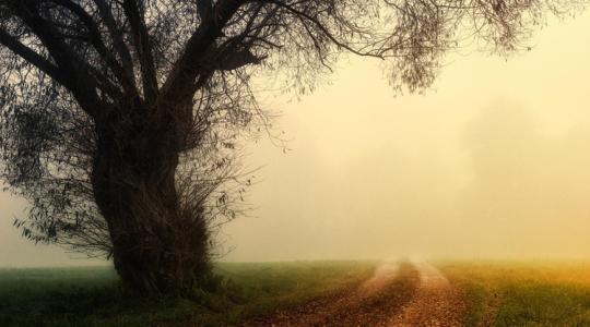 Időjárás: Egyre rosszabb látási viszonyokra kell számítani +VIDEÓ