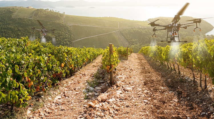 dronos permet dronos permet