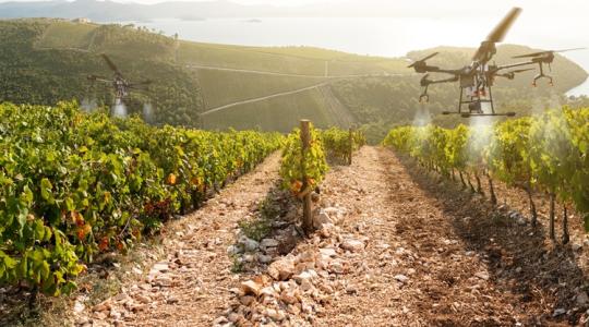 Glifozát, be nem jelentett permetezések: bírság járt értük Glifozát, be nem jelentett permetezések: bírság járt értük