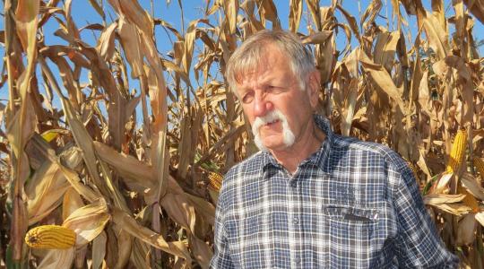 Hogyan formálja át a Kukorica Termésverseny a hazai gazdálkodást? Hogyan formálja át a Kukorica Termésverseny a hazai gazdálkodást?