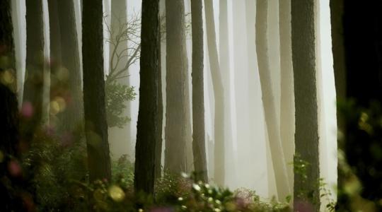 Mindenki ezt a hétvégi időjárás-jelentést várta! Mindenki ezt a hétvégi időjárás-jelentést várta!