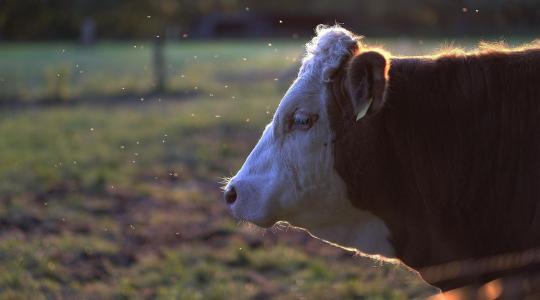 Figyeld a bankszámlád: újabb támogatás érkezik Figyeld a bankszámlád: újabb támogatás érkezik