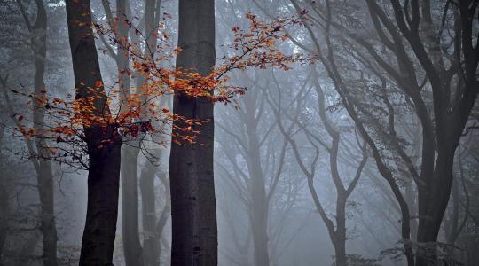 Időjárás: Ködbe veszve + VIDEÓ